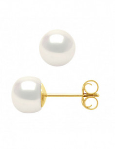 Boucles d'Oreilles Atsuo