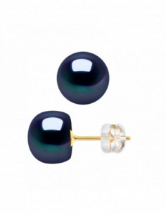 Boucles d'Oreilles Arata