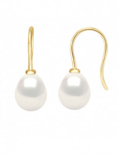 Boucles d'Oreilles Akito