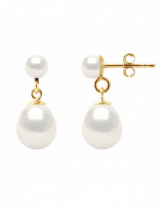 Boucles d'Oreilles Akihiro