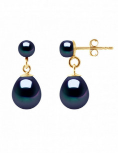 Boucles d'Oreilles Akihiro