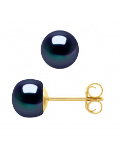 Boucles d'Oreilles Atsuo